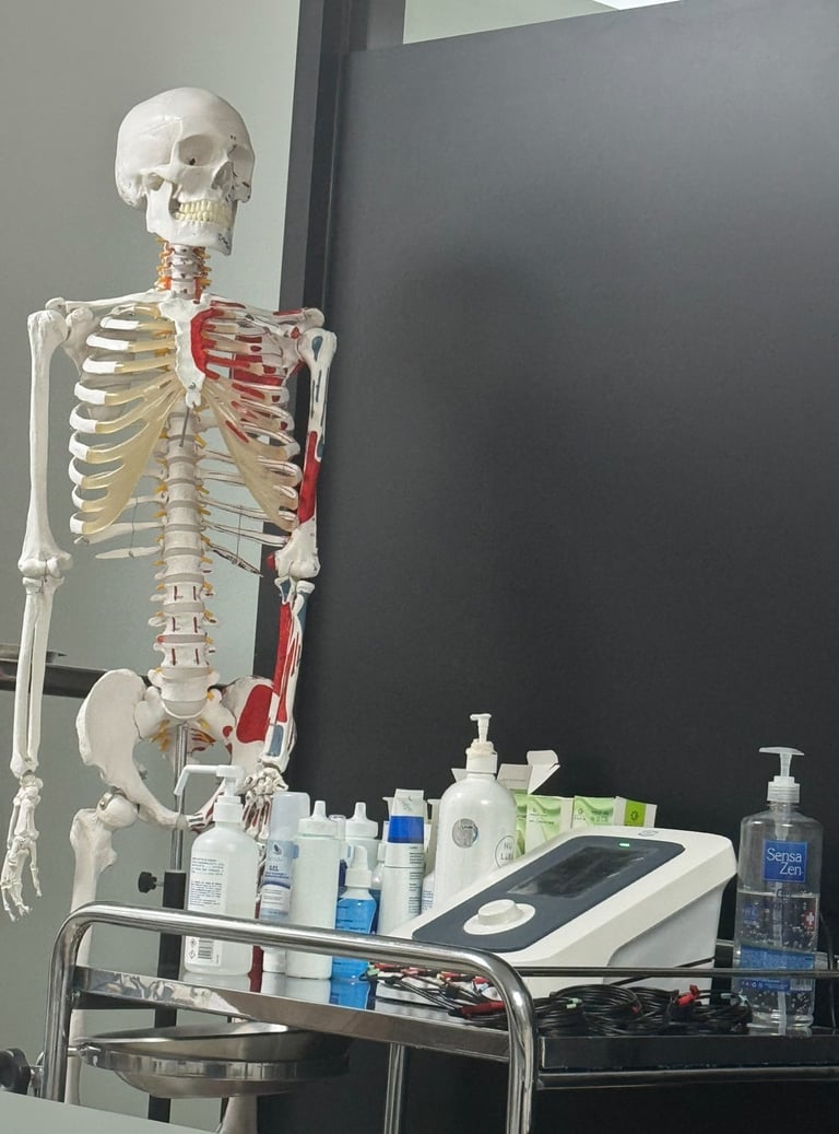 Esqueleto anatómico con superposición de músculos en rojo junto a escritorio con equipo médico y productos de cuidado